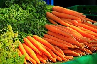  Как правильно подготовить семена моркови к посадке?
