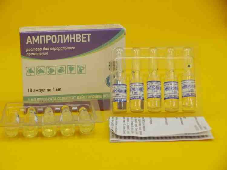 Ветеринарный препарат Ампролинвет 125 мг (раствор для перорального применения) Ампулы