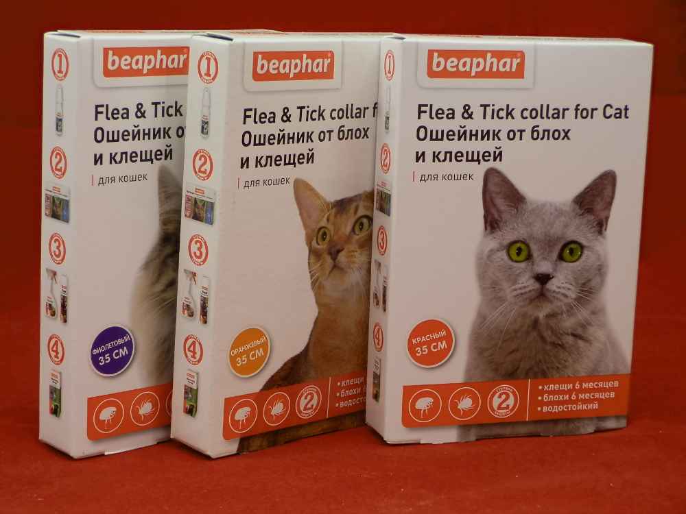 Ошейник для кошек отзывы ветеринаров. Beaphar Flea & Tick для кошек. Ошейник от блох Беафар для кошек. Ошейник от блох для кошек Beaphar цвета. Beaphar ошейник от блох и клещей для кошек.