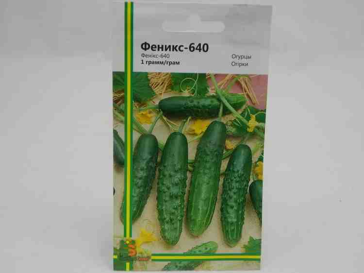 Семена огурцов Феникс 640