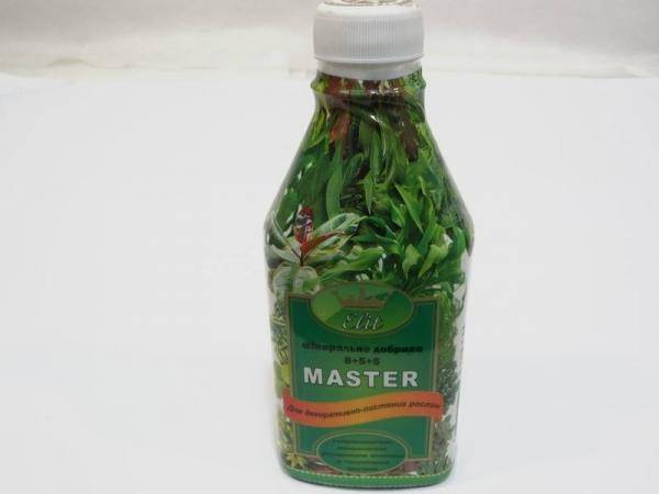 Rost - Мастер Элит, для декоративно-лиственных растений, минеральное удобрение