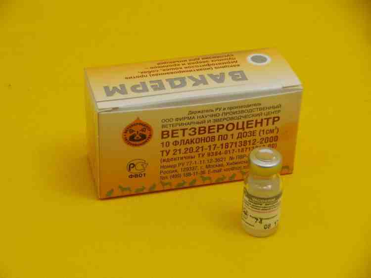 Вакдерм вакцина против дерматофитозов животных