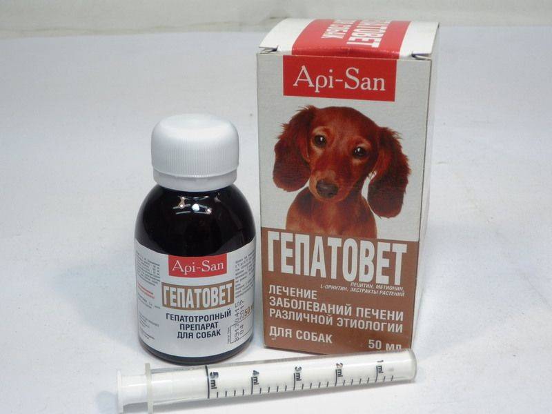 Что можно собаке обезболивающее. Лекарство для собак. Препараты от кашля для собак. Лекарство от кашля для собак. Лекарства для собак при отравлении.