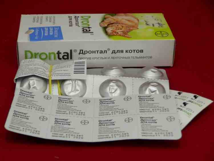 Drontal (Дронтал) для котов, 1 таблетка