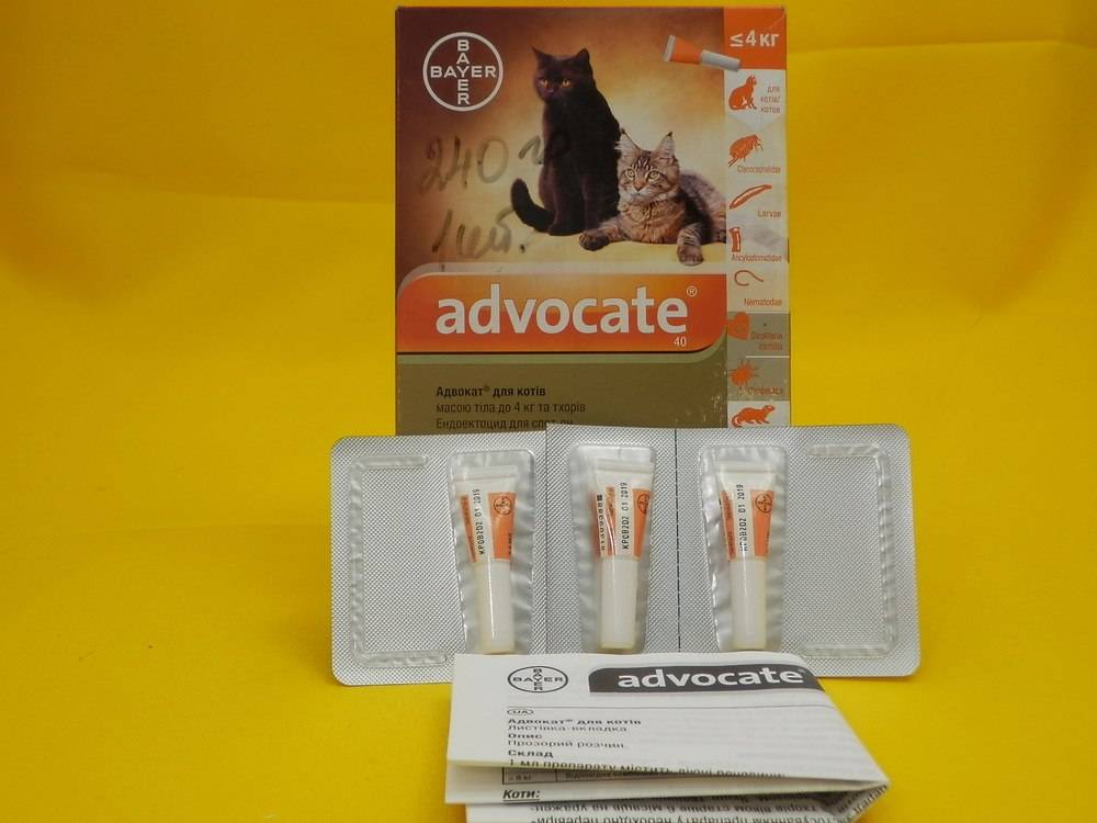 Адвокат (Advocate) для кошек 1 доза | ВетАптека - ЗооМагазин Лапочка