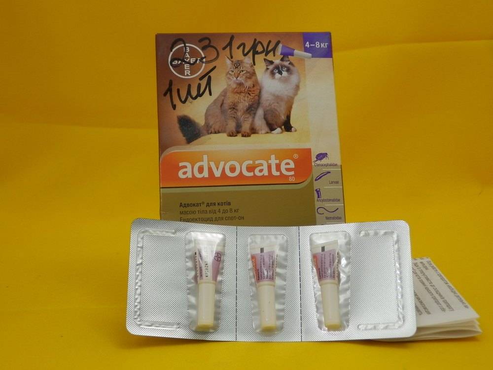 Адвокат кошки до 4. Advocate для кошек. Адвокат таблетки для котов. Адвокат для кошек 6 кг. Адвокат для кошек и хорьков.
