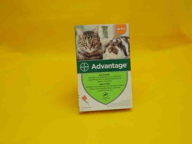 Адвантейдж Advantage для кошек и кроликов 1 доза