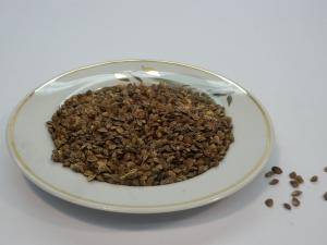 Эспарцет - семена - 1,0 кг