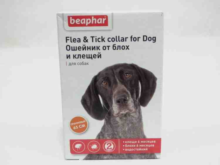 Ошейник от блох и клещей для собак цветной Бефар Beaphar Flea & Tick