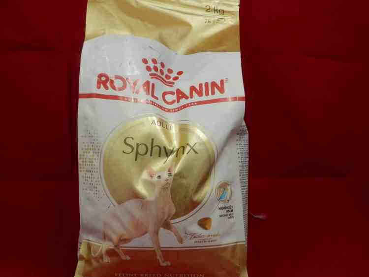 Royal Canin Sphynx  (Роял Канин)